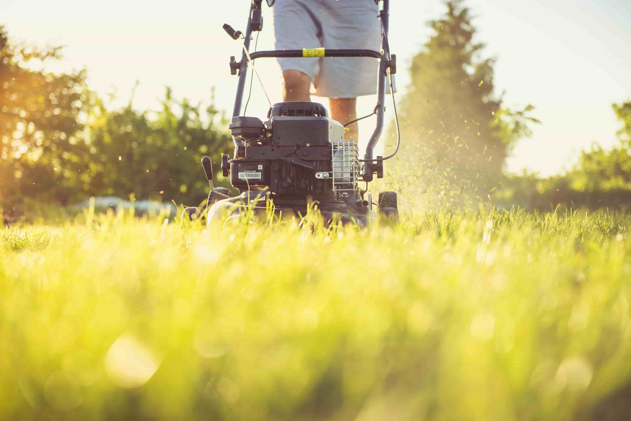 ndis-home-and-yard-maintenance-funding-a-clear-guide-for-participants